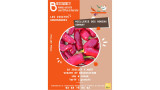 Visites gourmandes - Miellerie des Robins 2