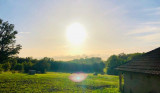 Vue sur les prés de la fenêtre à l'ouest