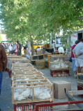 Web - Marché Louhans © OTPBB