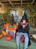 hallow 2024 2