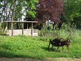 Jardin du Centre EDEN - Centre EDEN