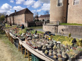 Foire aux plantes 2024