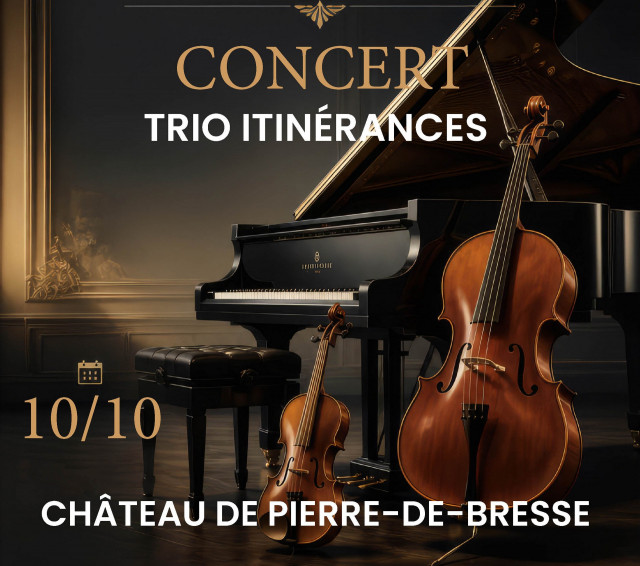 26-concert-trio-itinerances