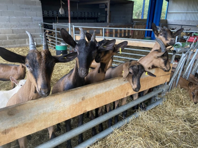 Gaec-des-Trois-communes