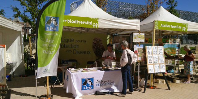 Tenue de stand LPO © Vincent Milaret - LPO (visuel 1360x680)
