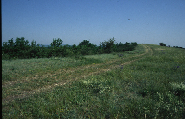 pelouse calcaire_1