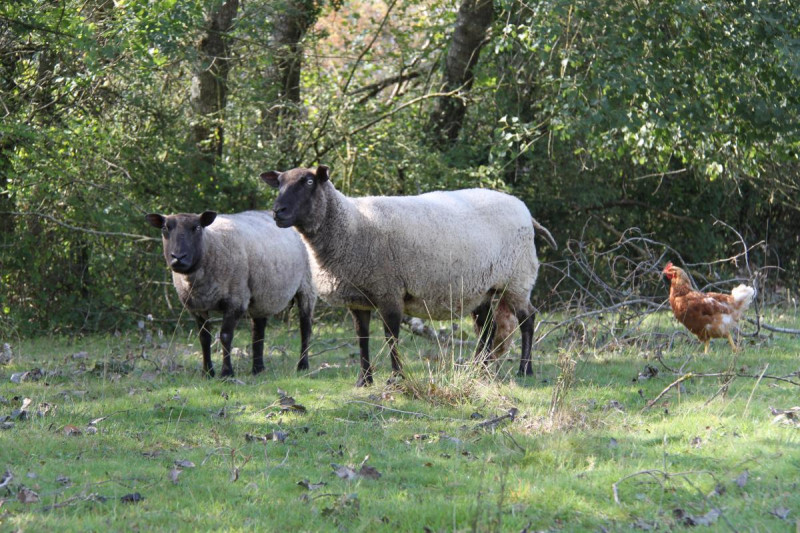 Les Trois Rivières - © Gîtes de France / Les Trois Rivières Les Trois Rivières