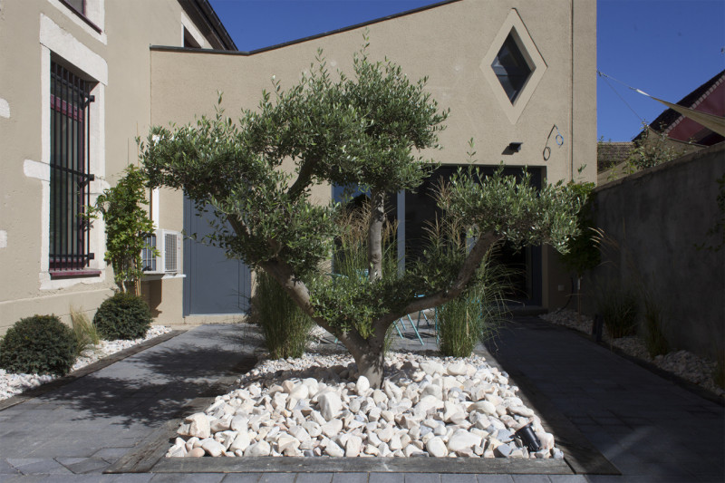 AHE_Eugene AHE_Eugene