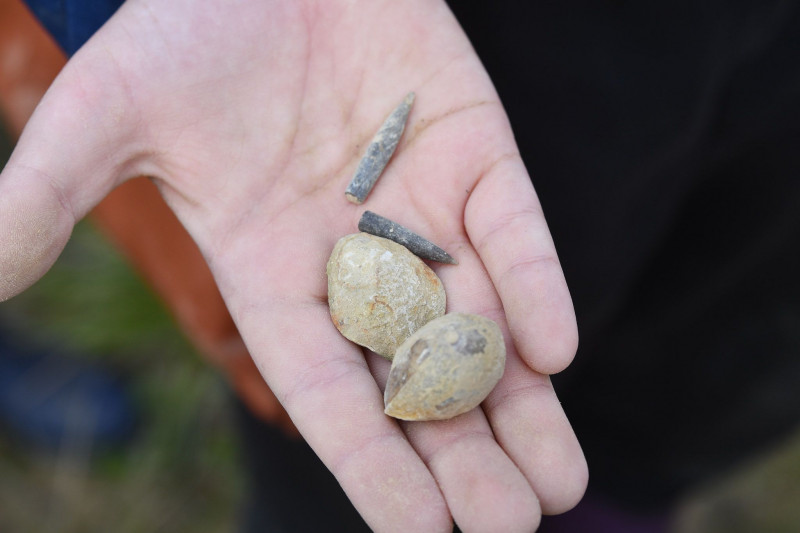 2048-1365-max (36) 2048-1365-max (36)