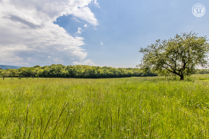 Gîte de la Chouette Gîte de la Chouette