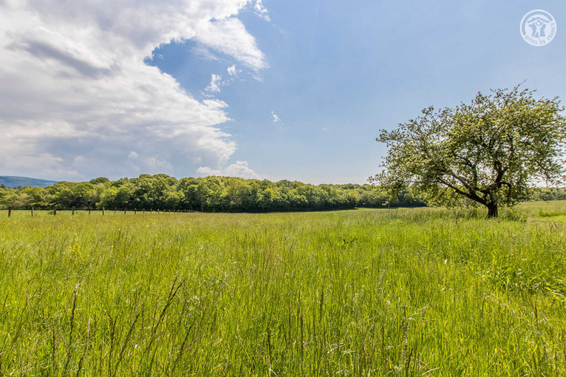 Gîte de la Chouette