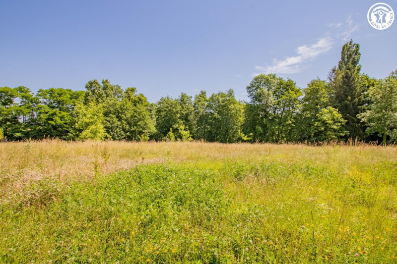 Papillon - © Gîtes de France / Papillon Papillon