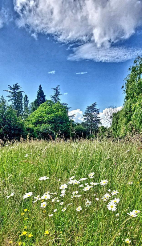 les Visiteurs les Visiteurs