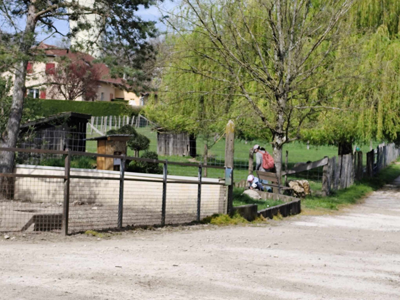 Chasse aux oeufs