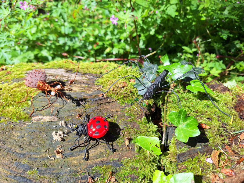 800x600_insectes-metal1920-1094392 - © eden 800x600_insectes-metal1920-1094392