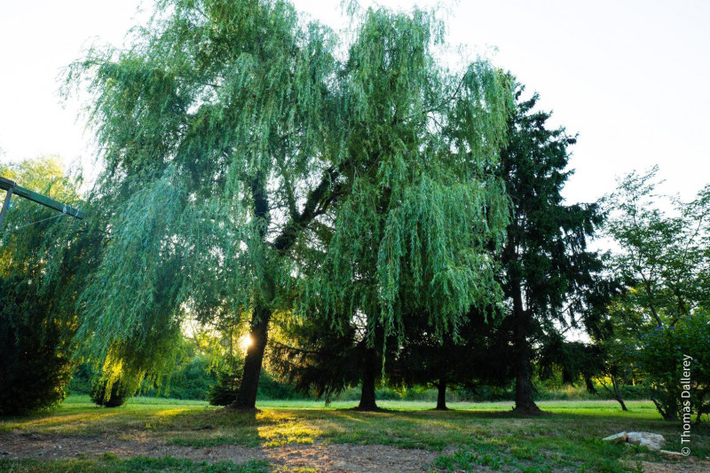 Moulin de la Coudre - © Gîtes de France / Moulin de la Coudre Moulin de la Coudre