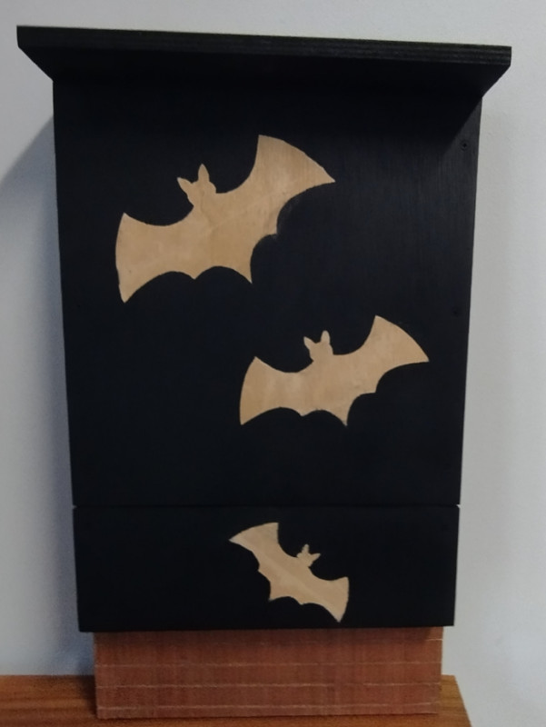 Abris chauve-souris