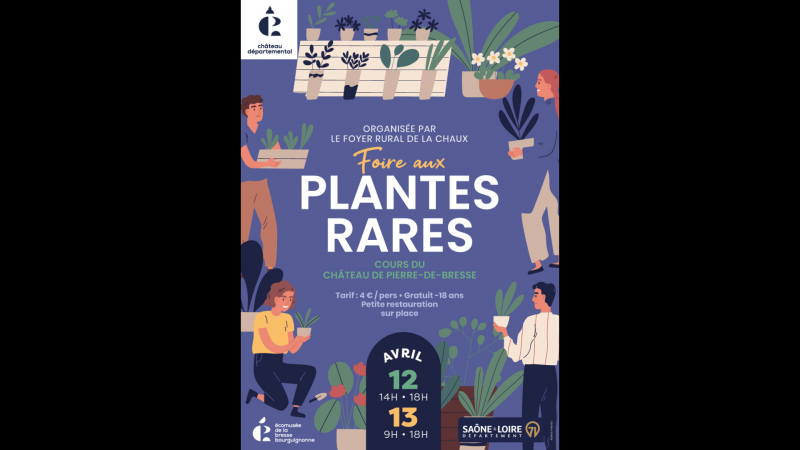 Design sans titre - 1