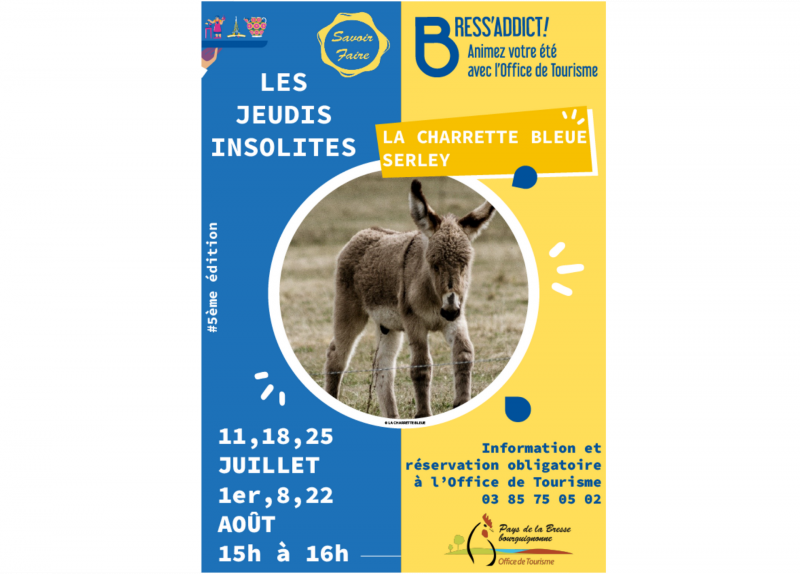 BA - Charrette Bleue