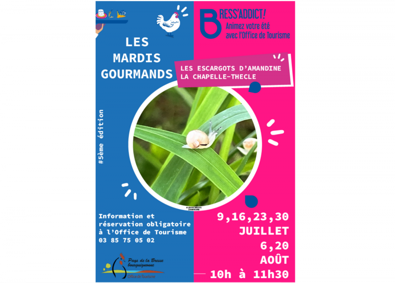 BA - Les escargots d'amandine