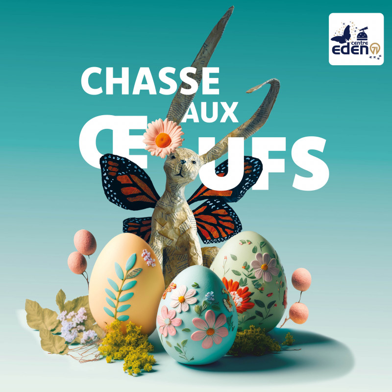 ChasseOeufs__RS_1080x1080