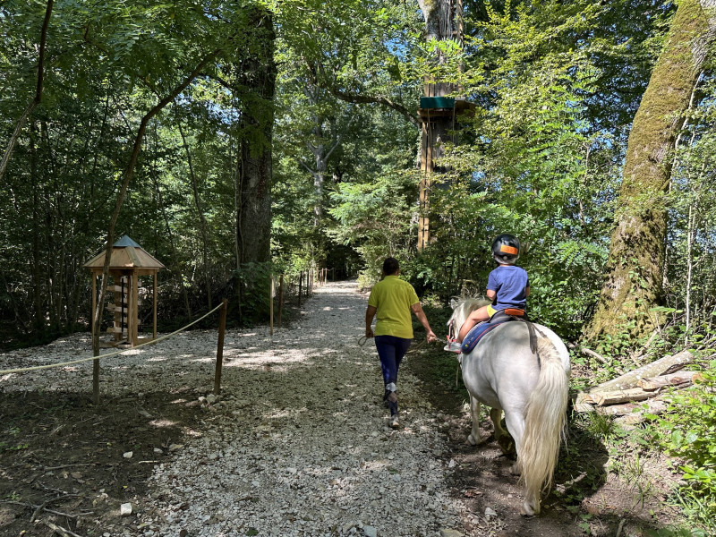 balade poney