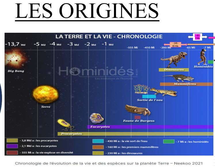 Les Origines de la vie.