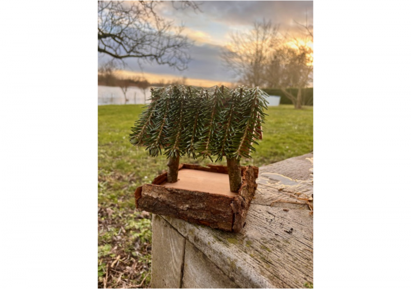 Mangeoire à oiseaux