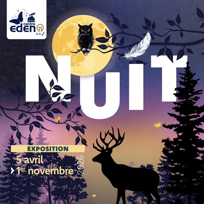 Rsx_ExpoNuit_1080x1080