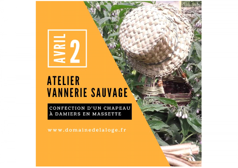 Atelier vannerie sauvage