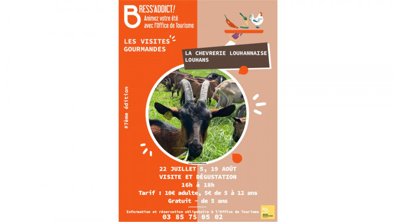 Visites gourmandes - La chèvrerie louhannaise - © OTBB/Chèvrerie louhannaise Visites gourmandes - La chèvrerie louhannaise