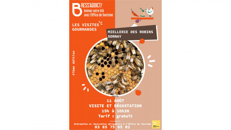 Visites gourmandes - Miellerie des Robins - © OTBB/Miellerie des Robins Visites gourmandes - Miellerie des Robins