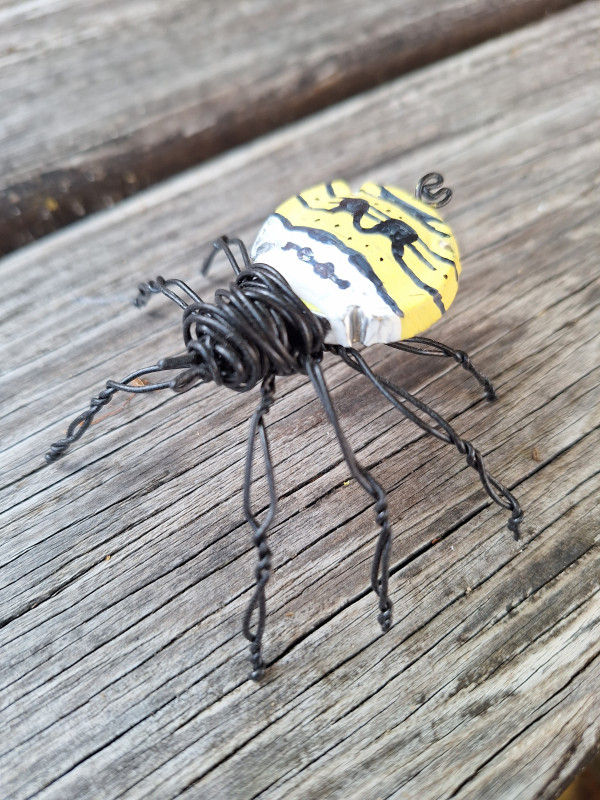 araignéee fil