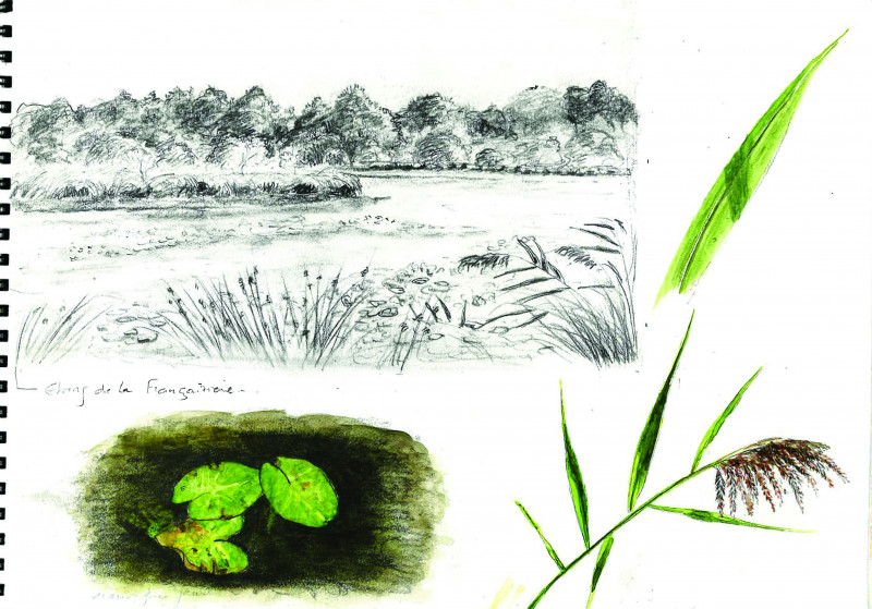 etang et détail©X.Gaillard - © eden etang et détail©X.Gaillard