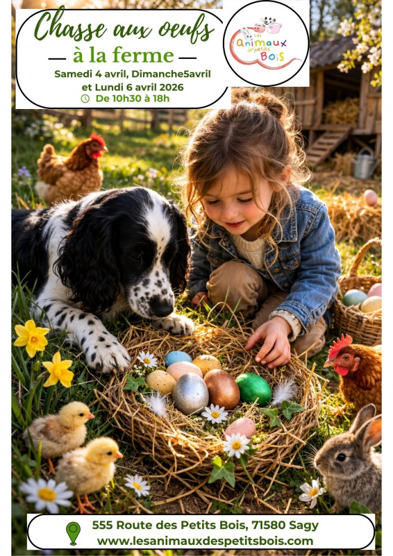 chasse aux oeufs chasse aux oeufs