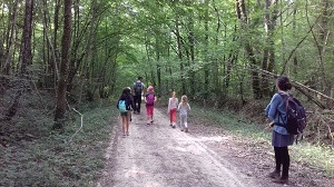 traces2-©M.BOUVARD MOREL-300pix