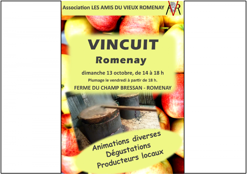 Vincuit